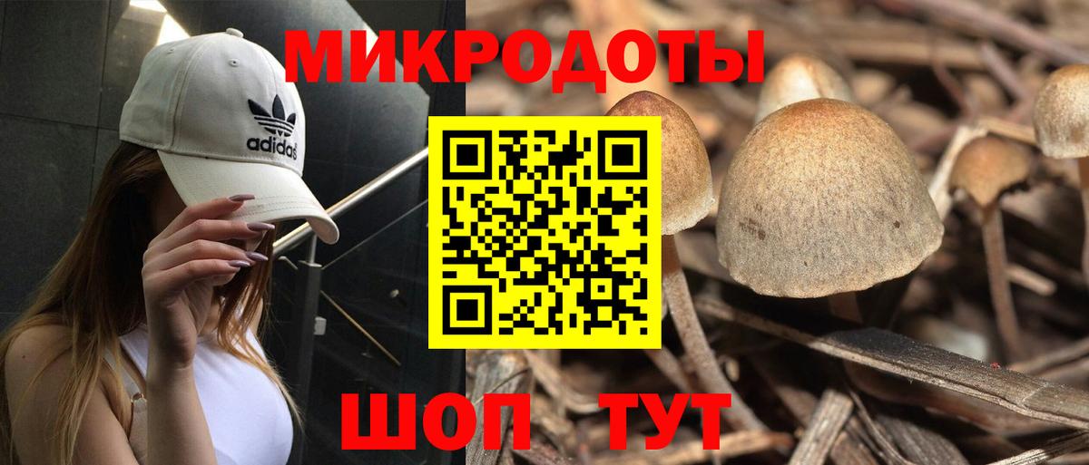 Псилоцибиновые грибы мухоморы  Галлюциногенные грибы Cubensis  Улан-Удэ  Вход с VPN 